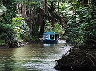 tortuguero